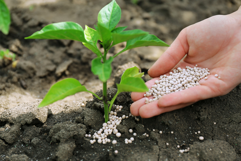 Pesticides & Chemical Fertilizers