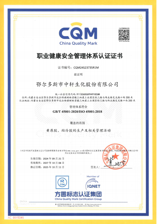 ISO 45001 Occupational Health and Safety Management System Certification