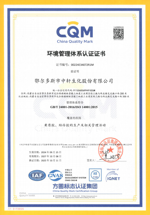 ISO 14001 Environmental Management System Certification